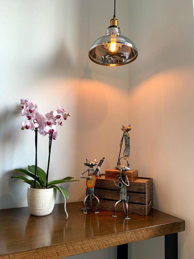 Blue Horse Apartment In New Polanco. Mexico City Exterior photo